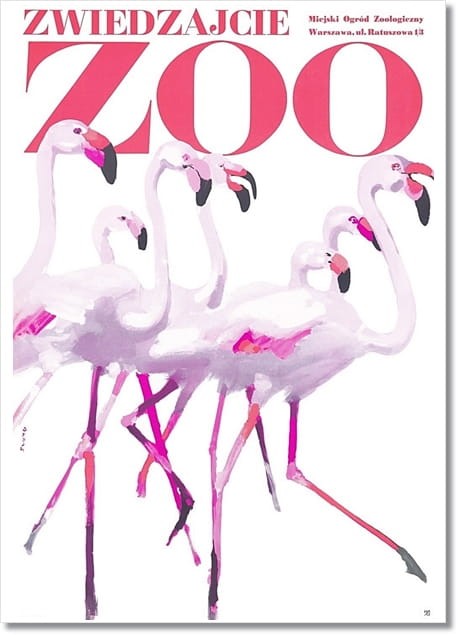 zoo flamingi k.jpg