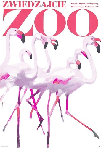 zwiedzajcie-zoo-flamingi-waldemar-swierzy-polski-plakat.